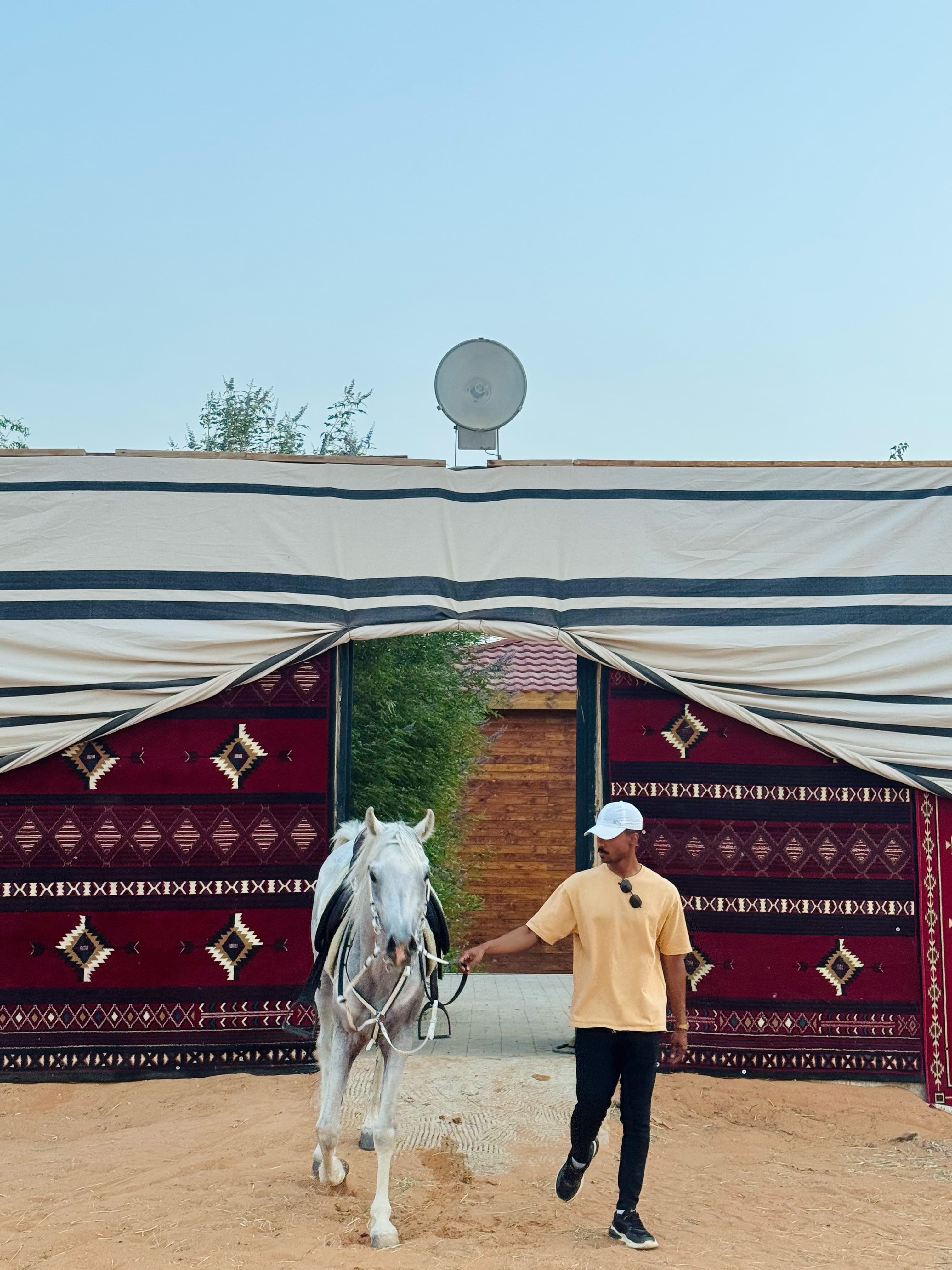 Red Sands Adventure and Arabian Camp Experience
