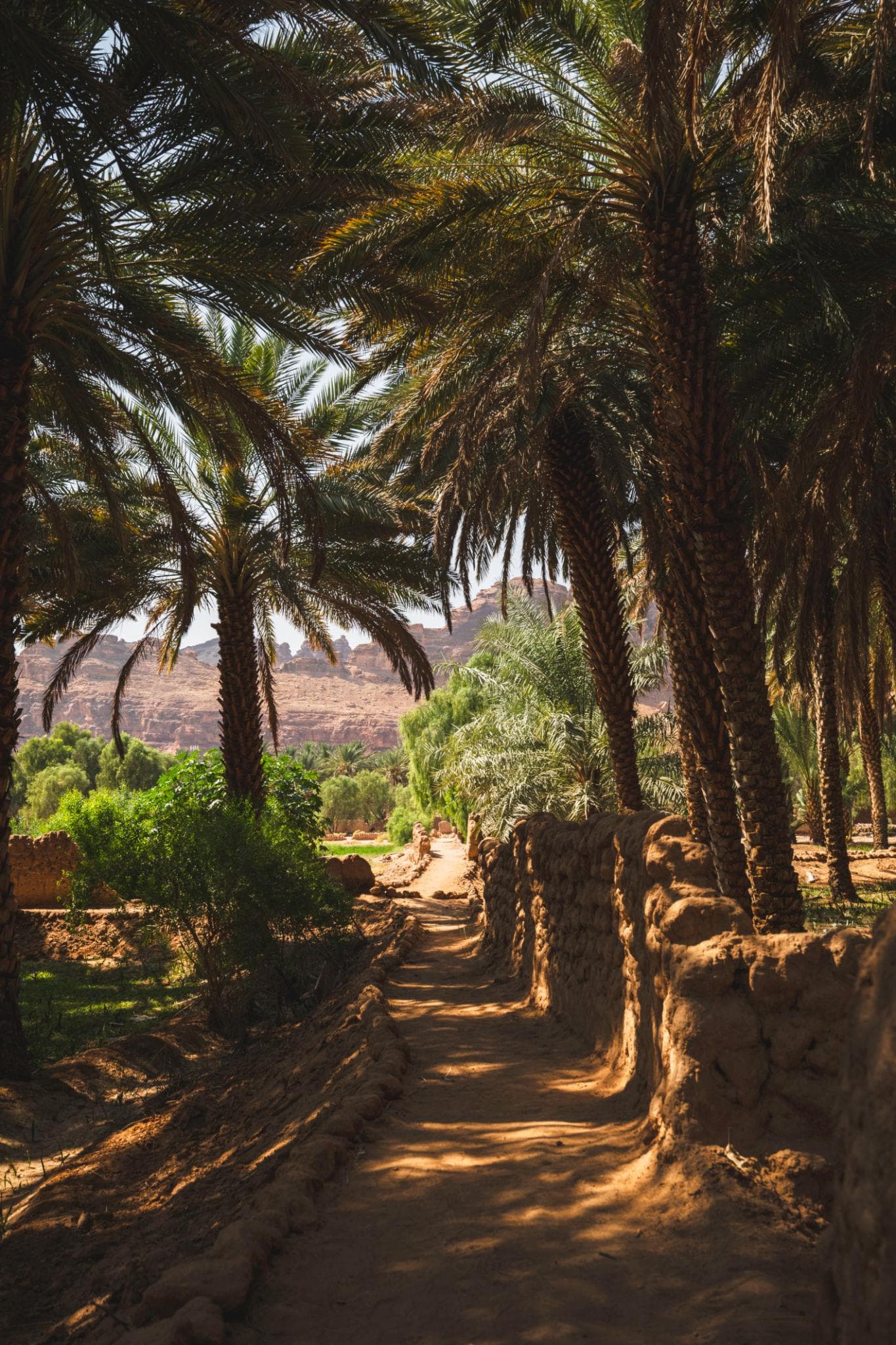 العُلا: جولة مسار الواحة التراثي