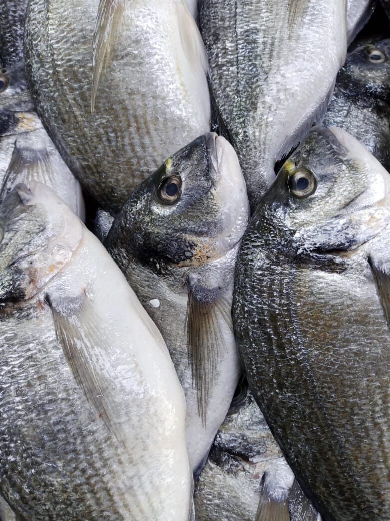 Jeddah: A fishing trip by boat in the middle of the Red Sea