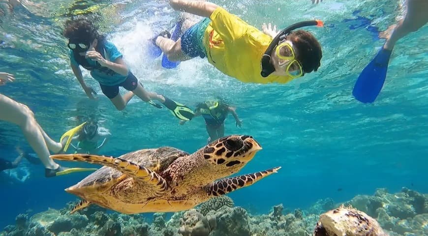 Jeddah: A group island trip to Bayadah Island