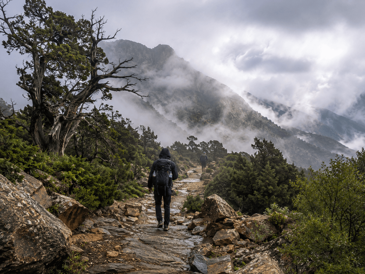 Abha: Hiking and mountain relaxation in Al-Soudah, the heart of Asir's natural beauty.